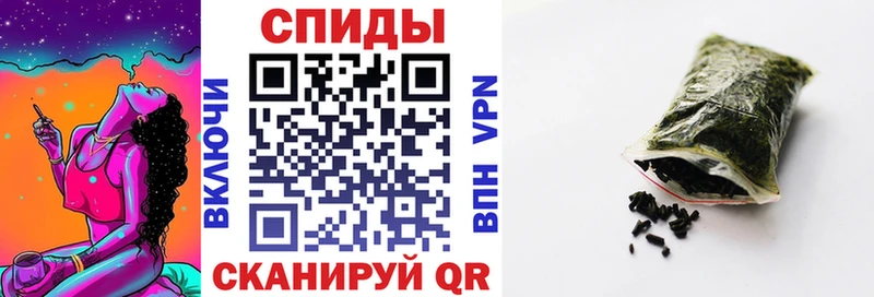 Бутират буратино  как найти   Мостовской 