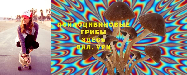альфа пвп Новодвинск