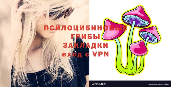 альфа пвп Новодвинск