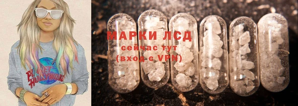 альфа пвп Новодвинск