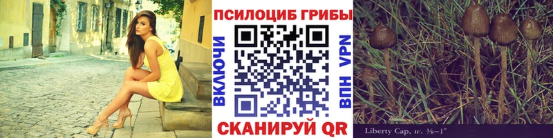 Галлюциногенные грибы ЛСД  купить   hydra зеркало  Мостовской 